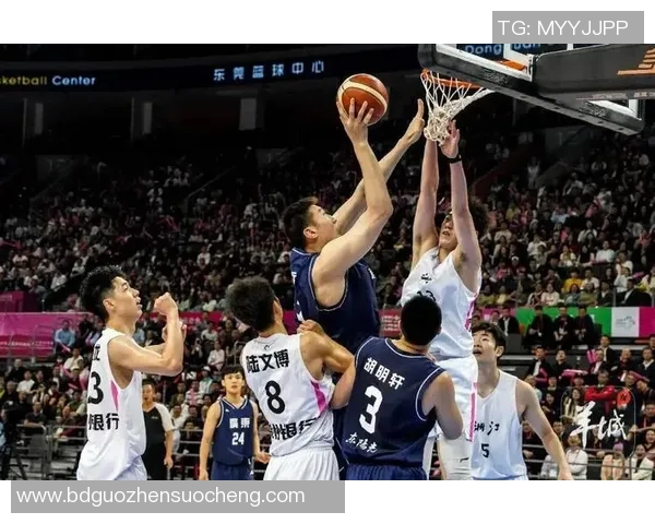 沈梓捷：从青涩少年到篮球赛场的璀璨明星之路